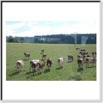 Ausflug2015IMG_5938.JPG