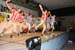 BFC_MBRC_2012_0100